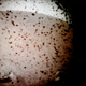 Illustration for article titled The NASA InSight Sucks At Taking Pics, Should Get a Finsta